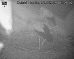 Capi_Dubne_20260812_012003.jpg