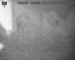 Capi_Dubne_20260812_031003.jpg