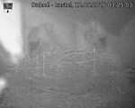 Capi_Dubne_20260812_032503.jpg