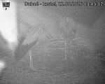 Capi_Dubne_20260812_034502.jpg