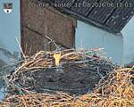 Capi_Dubne_20260812_061003.jpg