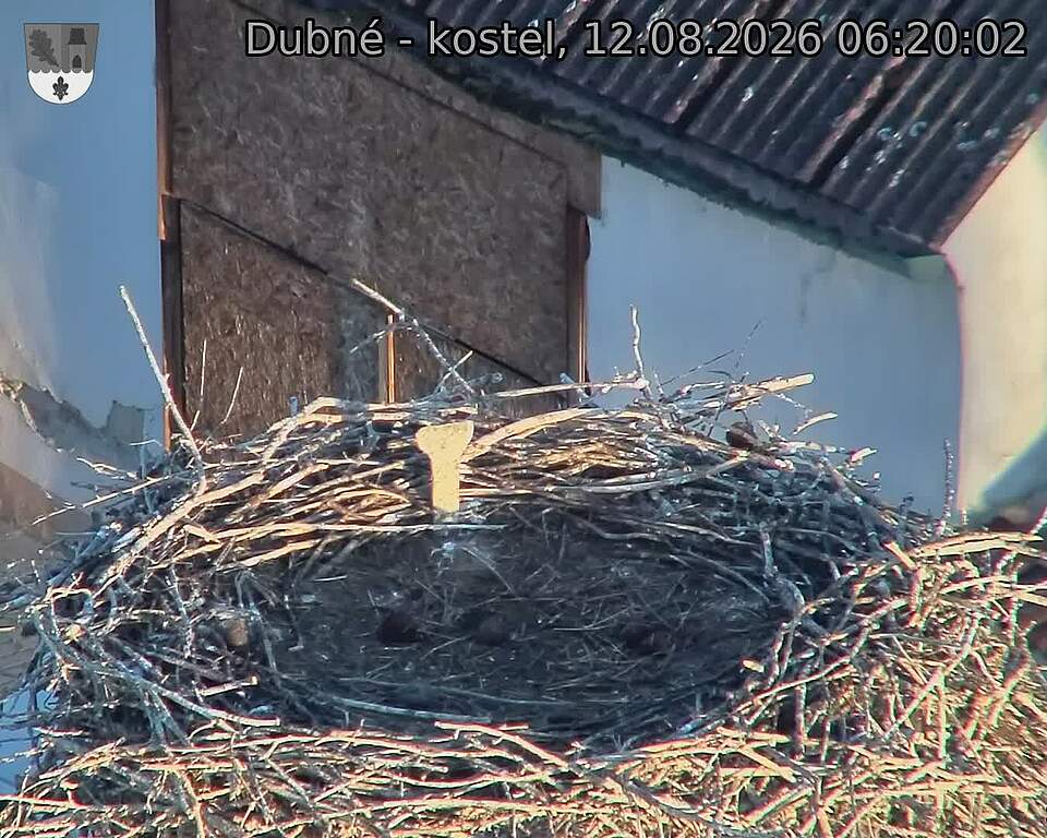 Capi_Dubne_20260812_062002.jpg (1350&nbsp;x&nbsp;1080)