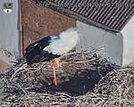 Capi_Dubne_20260812_070003.jpg