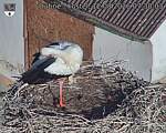 Capi_Dubne_20260812_073003.jpg