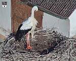 Capi_Dubne_20260812_074004.jpg