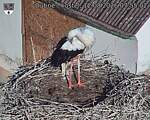Capi_Dubne_20260812_075502.jpg