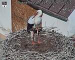 Capi_Dubne_20260812_092503.jpg