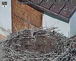 Capi_Dubne_20260812_103502.jpg