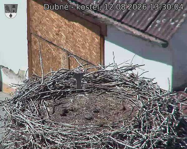 preload