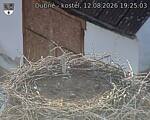 Capi_Dubne_20260812_192503.jpg