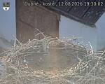 Capi_Dubne_20260812_193002.jpg