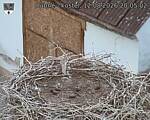 Capi_Dubne_20260812_200502.jpg