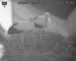 Capi_Dubne_20260812_210502.jpg