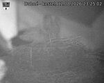 Capi_Dubne_20260812_232502.jpg