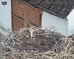 Capi_Dubne_20260813_055003.jpg
