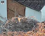 Capi_Dubne_20260813_060003.jpg