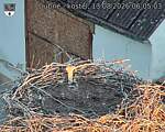 Capi_Dubne_20260813_060503.jpg
