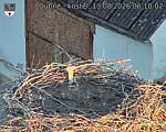 Capi_Dubne_20260813_061002.jpg