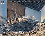 Capi_Dubne_20260813_062003.jpg