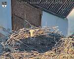 Capi_Dubne_20260813_062503.jpg