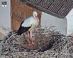 Capi_Dubne_20260813_074502.jpg