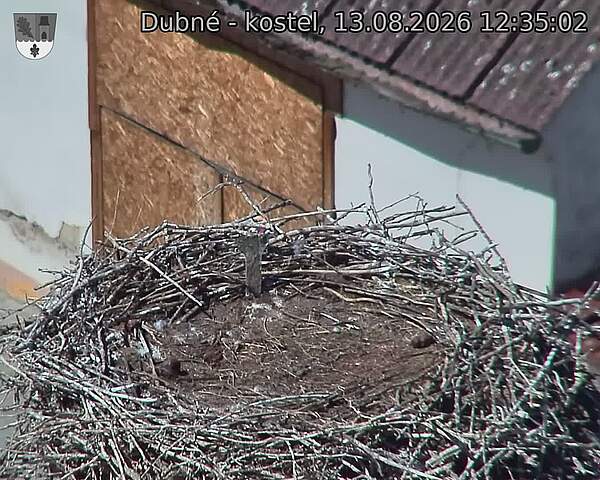 preload