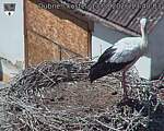 Capi_Dubne_20260813_134003.jpg