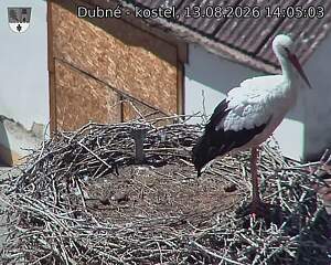 preload