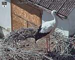 Capi_Dubne_20260813_144502.jpg