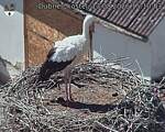 Capi_Dubne_20260813_151003.jpg