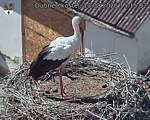 Capi_Dubne_20260813_151502.jpg