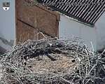 Capi_Dubne_20260813_163503.jpg