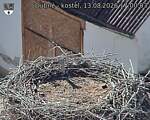 Capi_Dubne_20260813_170003.jpg