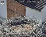Capi_Dubne_20260813_170503.jpg