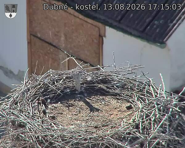 Capi_Dubne_20260813_171503.jpg (1350&nbsp;x&nbsp;1080)