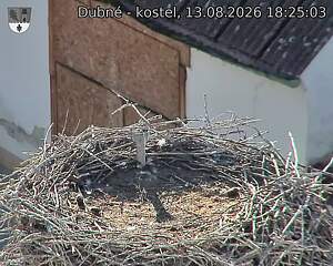 preload