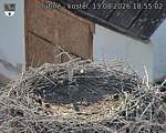 Capi_Dubne_20260813_185502.jpg
