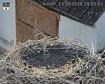 Capi_Dubne_20260813_190503.jpg