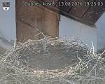 Capi_Dubne_20260813_192503.jpg