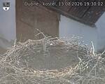 Capi_Dubne_20260813_193002.jpg