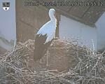 Capi_Dubne_20260813_195502.jpg