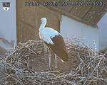 Capi_Dubne_20260813_200502.jpg