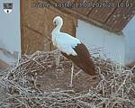 Capi_Dubne_20260813_201003.jpg