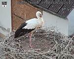 Capi_Dubne_20260813_202503.jpg