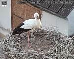 Capi_Dubne_20260813_203002.jpg
