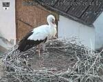 Capi_Dubne_20260813_204002.jpg