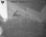Capi_Dubne_20260813_211002.jpg