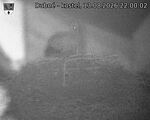 Capi_Dubne_20260813_220002.jpg