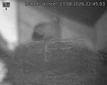 Capi_Dubne_20260813_224503.jpg