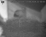 Capi_Dubne_20260813_225003.jpg